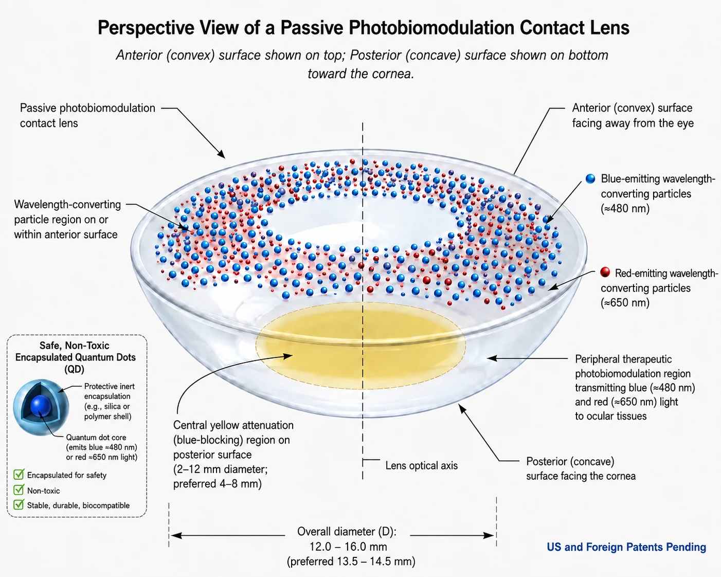 Inventive Lens Company Myopia Control QD Contact Lens Perspective View of a Passive Photobiomodulation Contact Lens